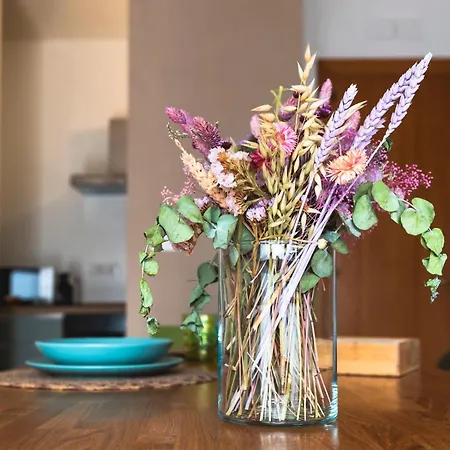 A Soqquadro Бишелье